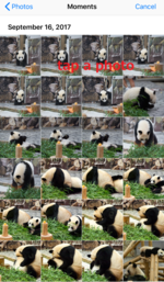 upload-004 upload-004